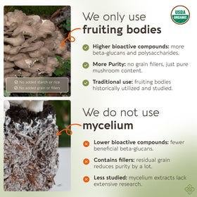 Champignon Maitake entier sur une surface en bois