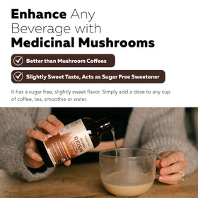 Champignon Reishi bio cultivé aux États-Unis
