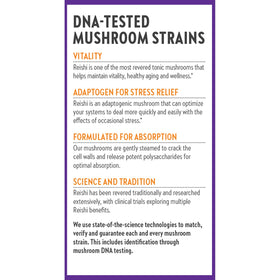 Champignon Reishi bio sur fond naturel