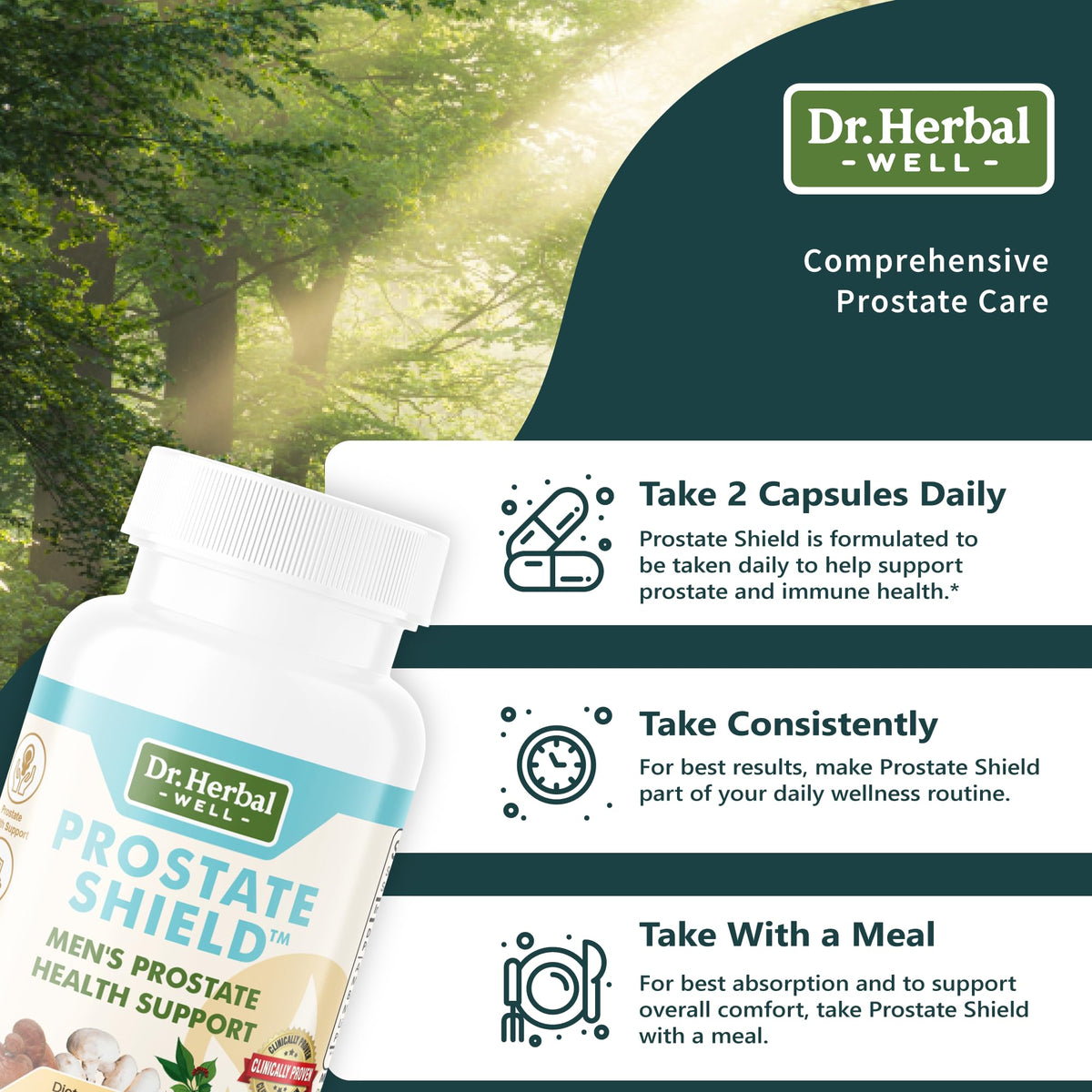 Champignon Reishi utilisé dans le DR. HERBAL WELL Prostate Shield