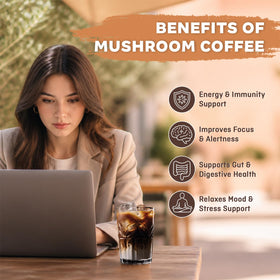 Champignons adaptogènes utilisés dans le café Balincer