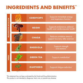 Champignons Cordyceps et Chaga sur un fond naturel