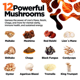 Champignons mélangés sur une table avec la poudre KIKI Green