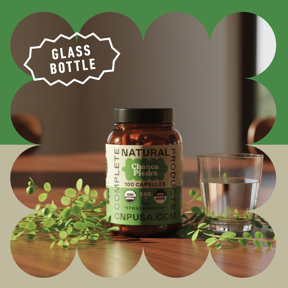 Chanca Piedra 500mg avec un fond naturel