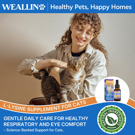 Chat dégustant de la nourriture avec complément L-Lysine mélangé