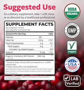 Chews de Cranberry PURE CO, mise en scène avec des fruits frais