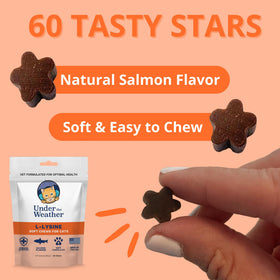 Chews L-Lysine pour Chats au saumon, présentation