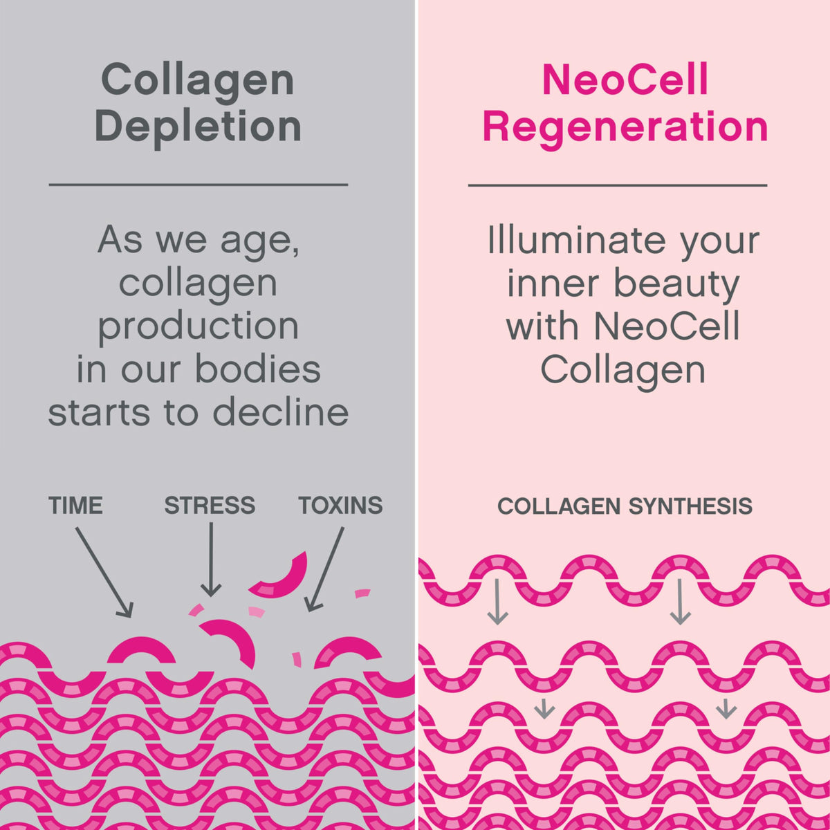 Chews NeoCell Collagen Peptides 60 Soft Chews en gros plan