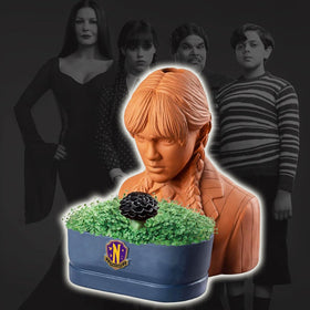 Chia Pet Wednesday Addams avec instructions d'entretien