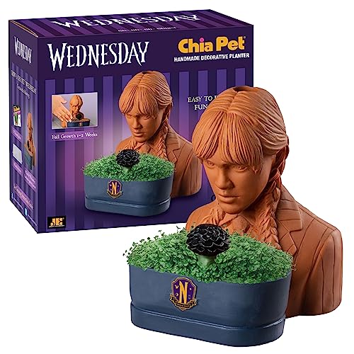 Chia Pet Wednesday Addams en gros plan sur les détails de la terre cuite