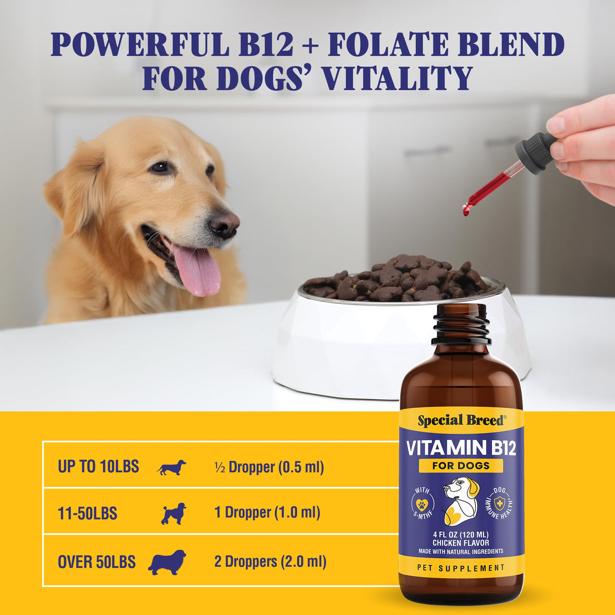 Chien heureux après avoir pris la vitamine B12 liquide