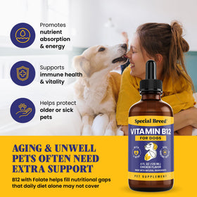 Chien recevant de la vitamine B12 liquide Special Breed