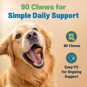 Chiens heureux prenant des chews Omega 3 Guardian's Choice