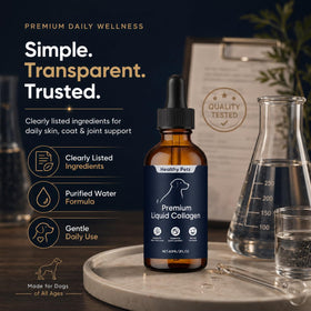 Chiens jouant après avoir reçu du collagène liquide HEALTHY PETZ