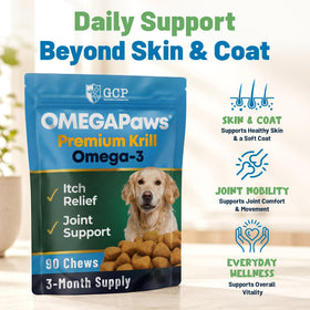 Chiens jouant avec un pelage brillant après avoir pris Omega 3