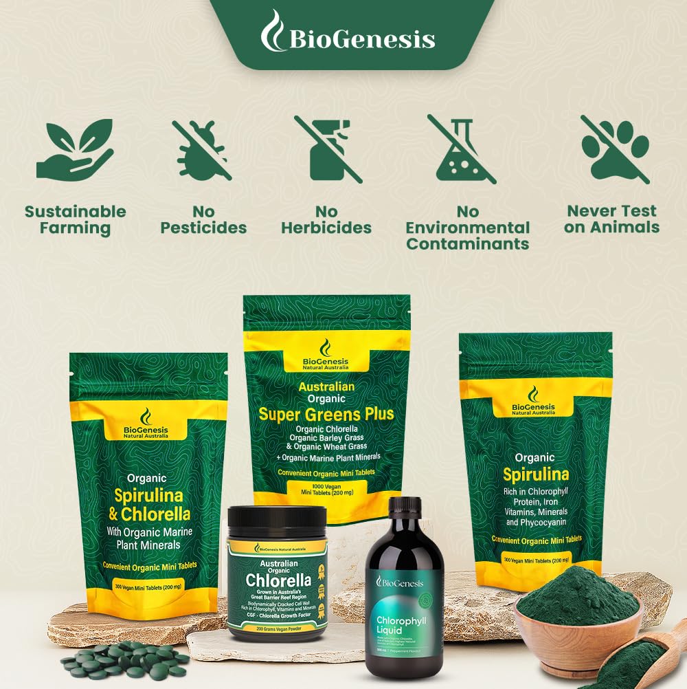 Chlorella Biogenesis dans un environnement de vie sain