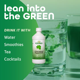 Chlorophylle liquide Dynamic Health dans un verre avec de l'eau