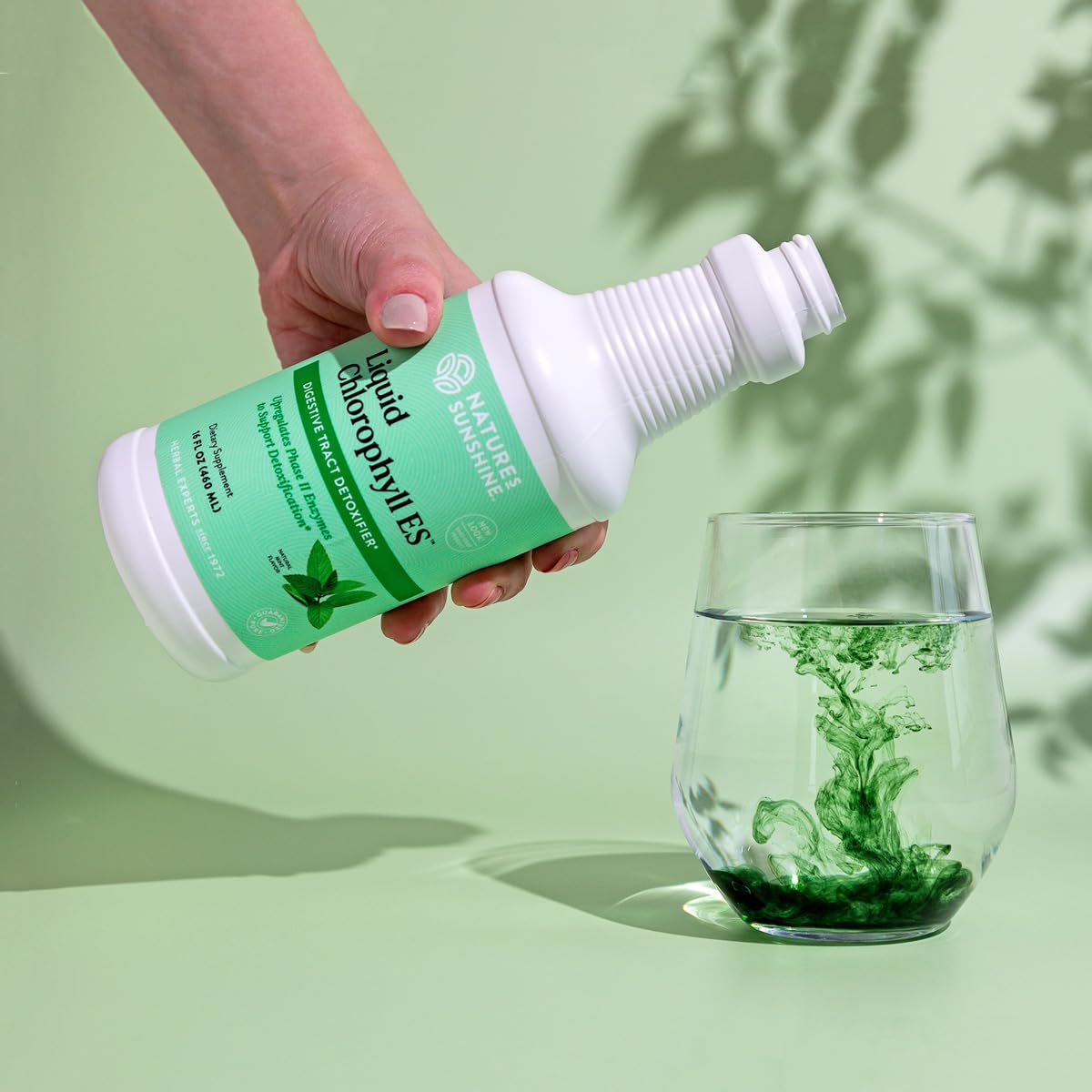 Chlorophylle liquide Nature's Sunshine avec menthe verte en arrière-plan