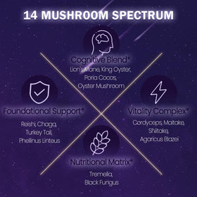 Chocolat chaud aux champignons NUTRATASTE avec du lait chaud