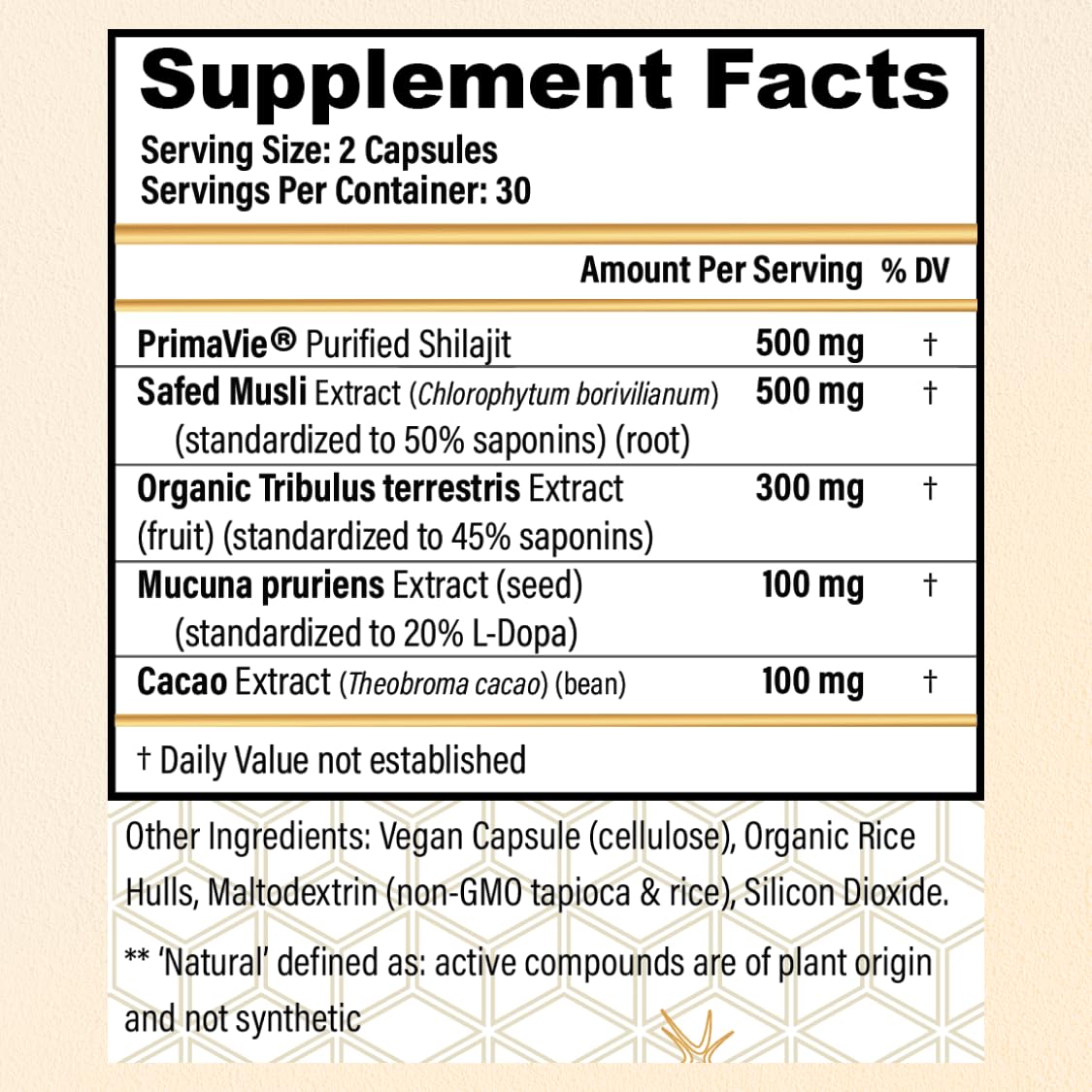 CHOQ Daily 500mg Shilajit Purifié en main