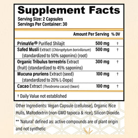 CHOQ Daily 500mg Shilajit Purifié en main