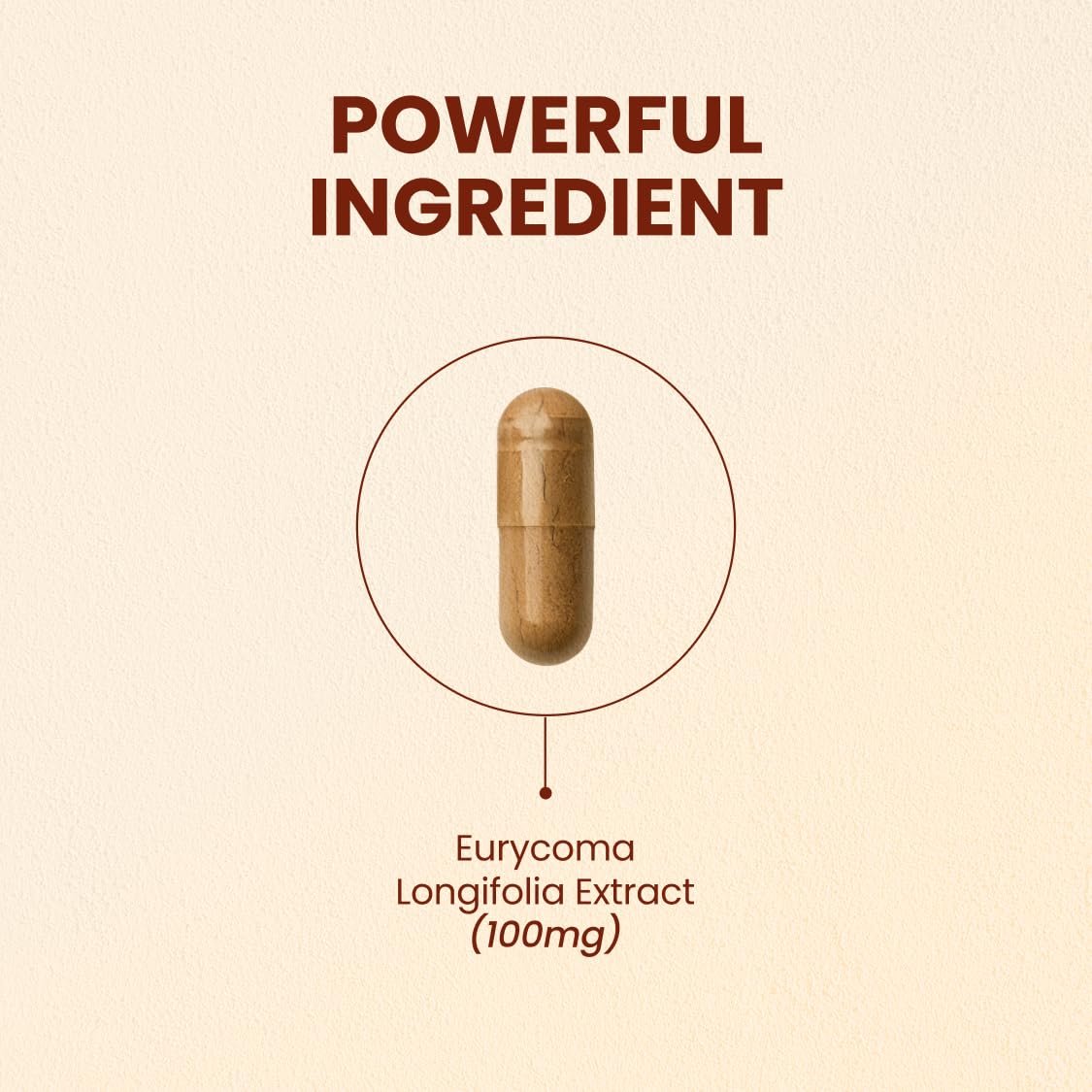 CHOQ Extrait de Tongkat Ali 100mg - capsules végétales