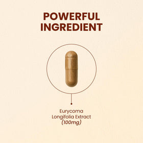 CHOQ Extrait de Tongkat Ali 100mg - capsules végétales
