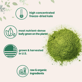 Chou frisé bio en poudre utilisé dans un smoothie