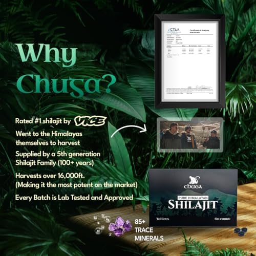 Chuga Shilajit comprimés avec une vue rapprochée des tablettes