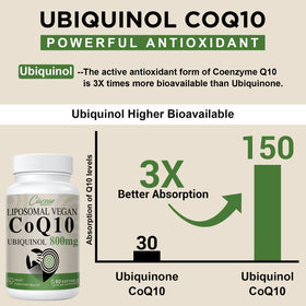Ciaceae CoQ10 Liposomal 800mg en main