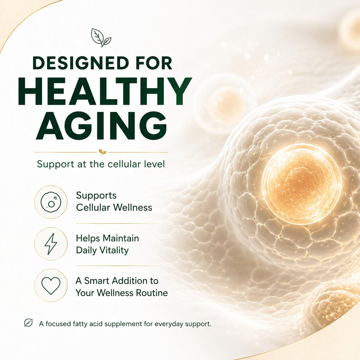 CIRVANO Acides gras C15:0 capsules en mode de vie actif