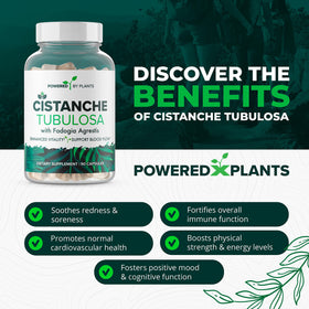 Cistanche Tubulosa et Fadogia Agrestis, capsules sur fond blanc