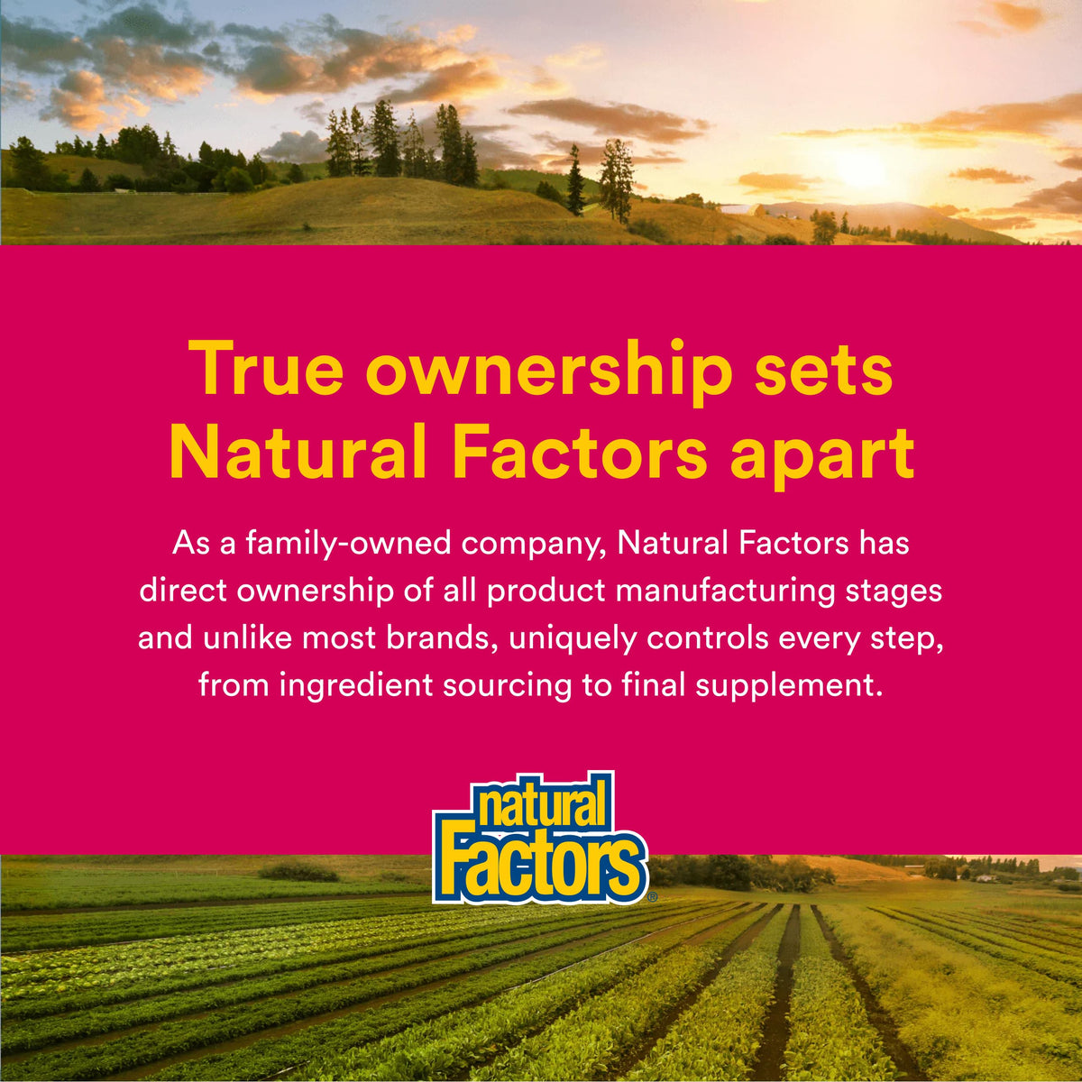 Citrate de Magnésium Natural Factors, capsules dans un environnement naturel