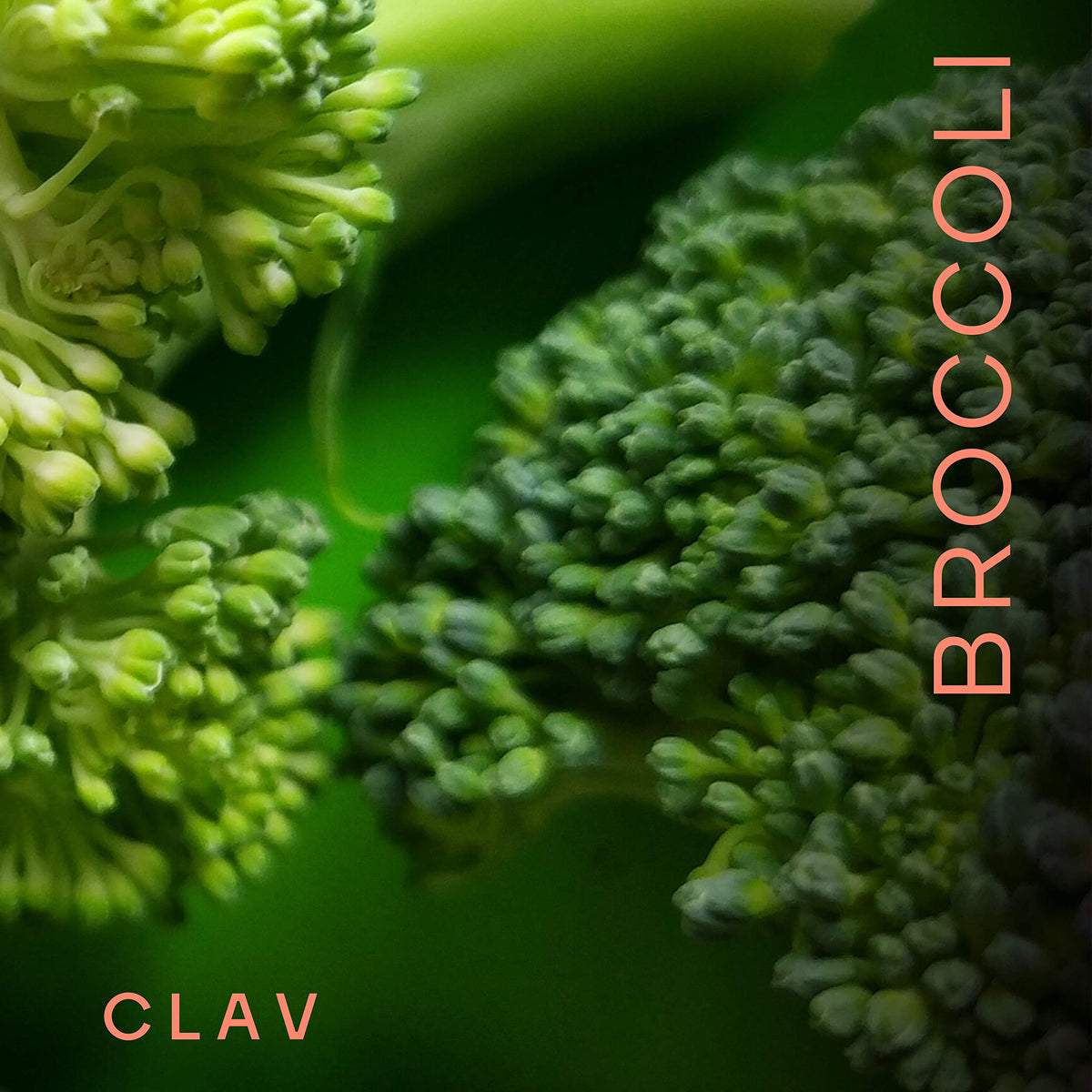 CLAV Extrait de Germes de Brocoli 60 Capsules emballage
