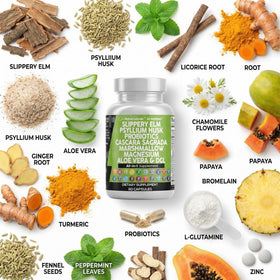 Clean Nutraceuticals Complément Alimentaire Psyllium 114g vue arrière