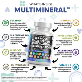 Clean Nutraceuticals Compléments avec Curcuma et Ashwagandha