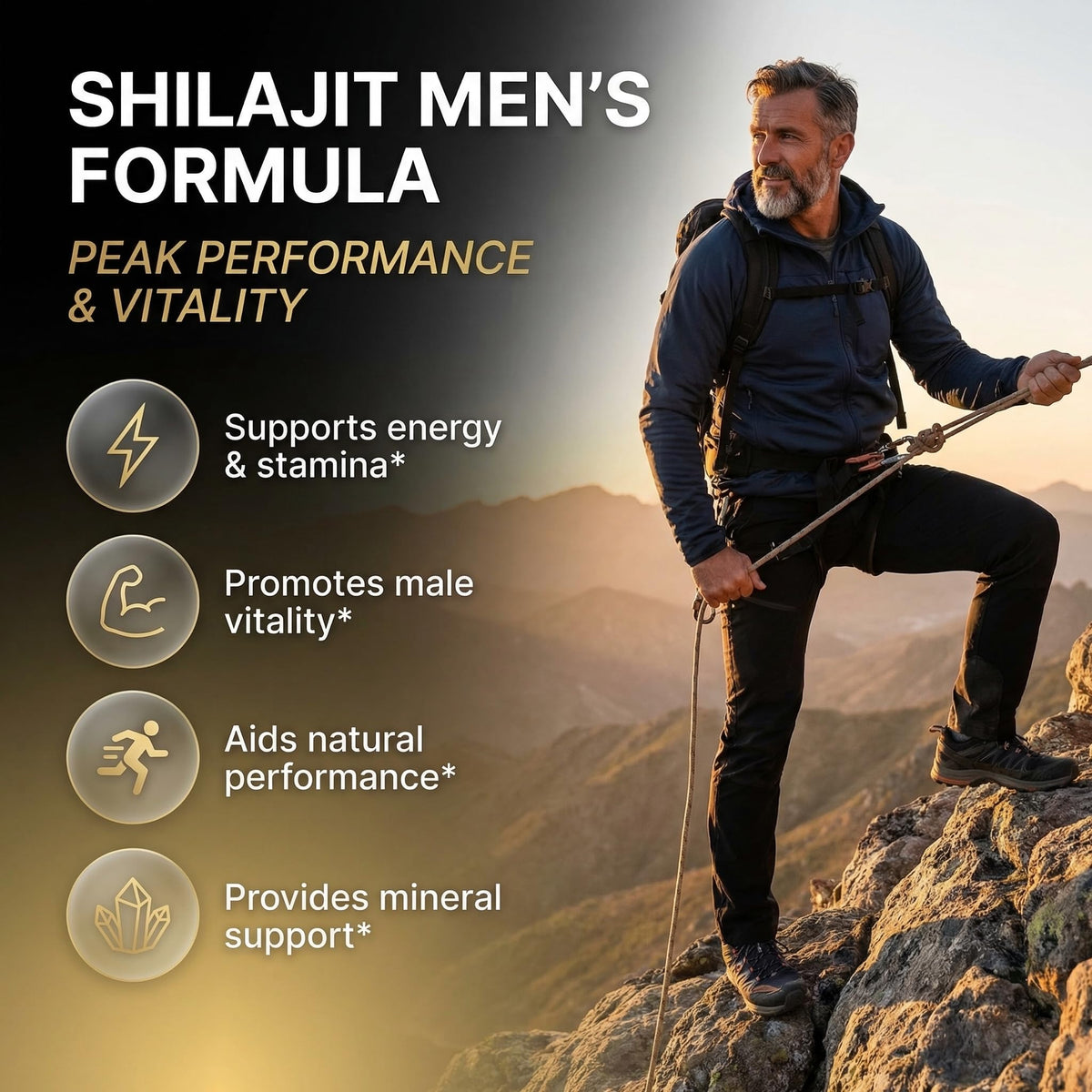 Clean Nutraceuticals Shilajit complément alimentaire boîte avec capsules