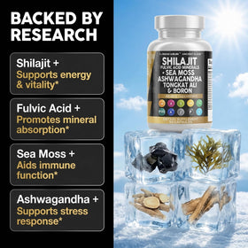 Clean Nutraceuticals Shilajit complément alimentaire capsules sur fond blanc