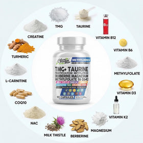 Clean Nutraceuticals TMG 1000mg ingrédients principaux listés