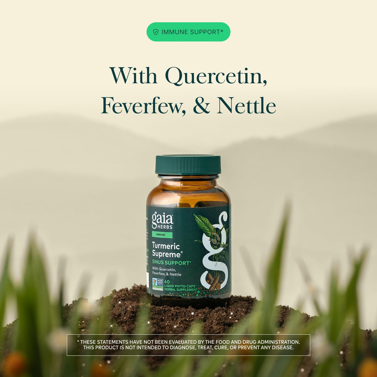 Close-up of Gaia Herbs Turmeric capsules