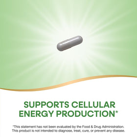Close-up of Nature's Way Niacinamide capsules