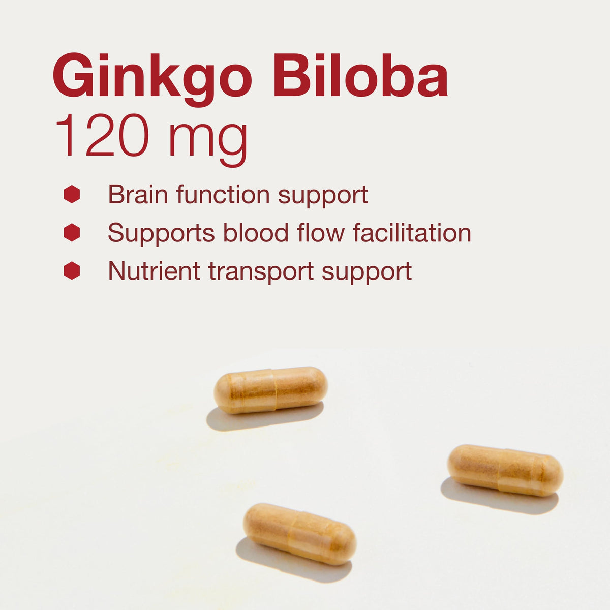 Close-up of PROTOCOL FOR LIFE BALANCE Ginkgo Biloba 120mg capsules