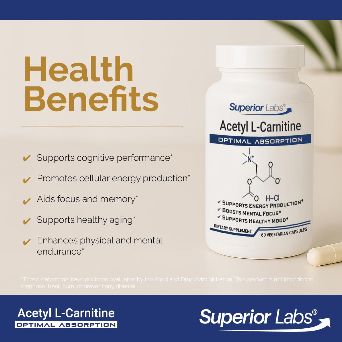 Close-up of quality Labs Acetyl L-Carnitine 500 mg capsules