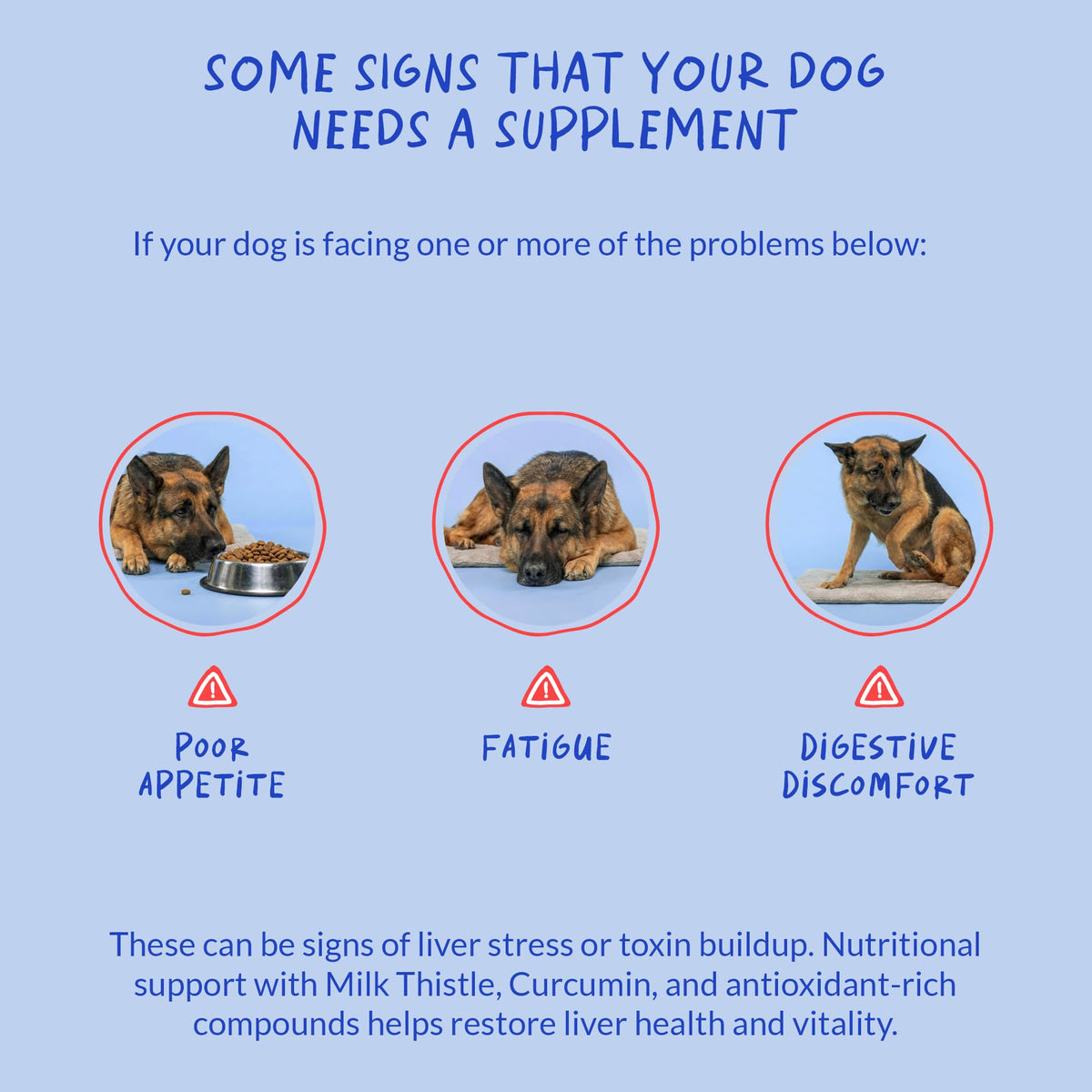 Coco and Luna Chardon-Marie pour Chiens, image d'un chien heureux
