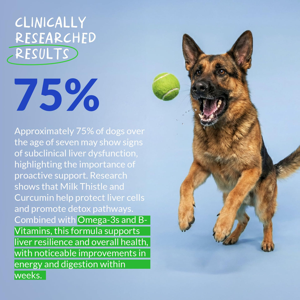 Coco and Luna Chardon-Marie pour Chiens, profil du produit