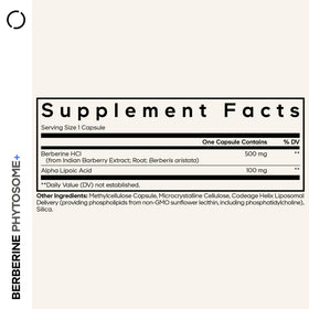 Codeage Berberine Phytosome 500 mg HCL capsules vue de dessus