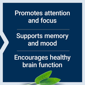 Cognitex® Elite Pregnenolone, ingrédient sage en gros plan