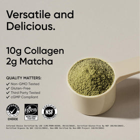 Collagen Peptides Sports Research avec Matcha 381g dans un bol avec cuillère