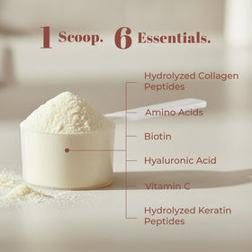 Collagen Project Poudre de Collagène 6-en-1 721g avec une cuillère dans un bol