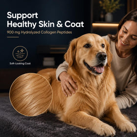 Collagène liquide HEALTHY PETZ versé sur de la nourriture pour chien
